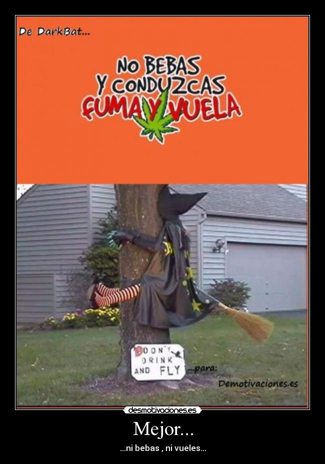 carteles darkbat mejor bebas vuelas darbat para desmotivaciones chuk norris walt_k ads top desmotivaciones