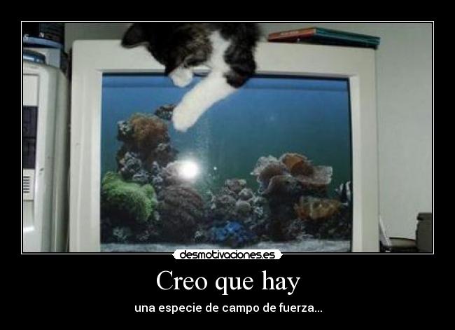 Creo que hay -