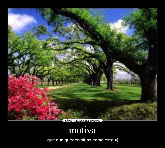 motiva -