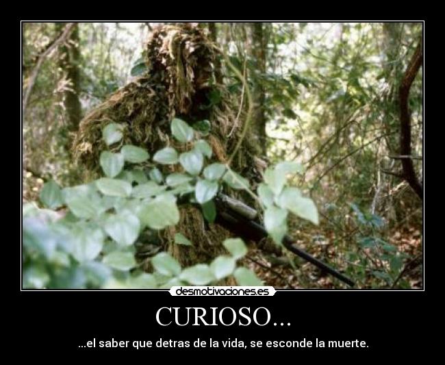 CURIOSO... - ...el saber que detras de la vida, se esconde la muerte.