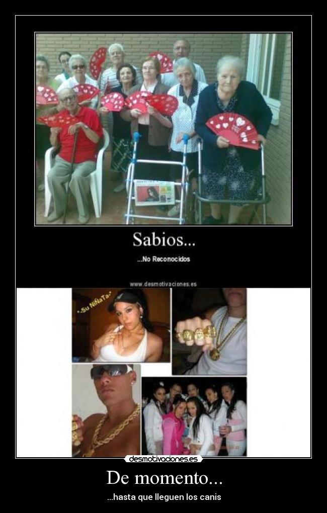 De momento... - ...hasta que lleguen los canis
