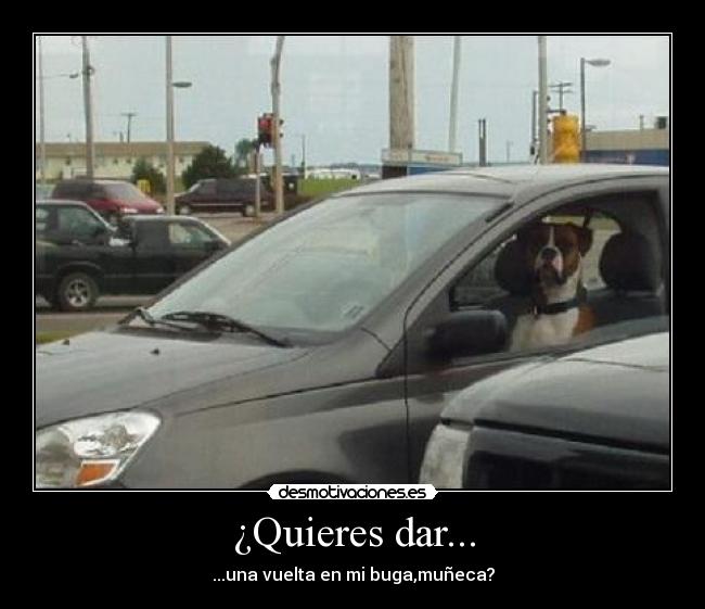 ¿Quieres dar... - 