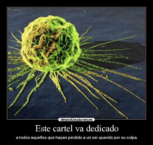 Este cartel va dedicado - a todos aquellos que hayan perdido a un ser querido por su culpa.