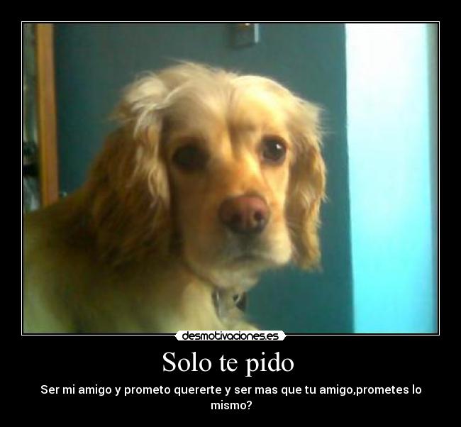 Solo te pido  - Ser mi amigo y prometo quererte y ser mas que tu amigo,prometes lo mismo?