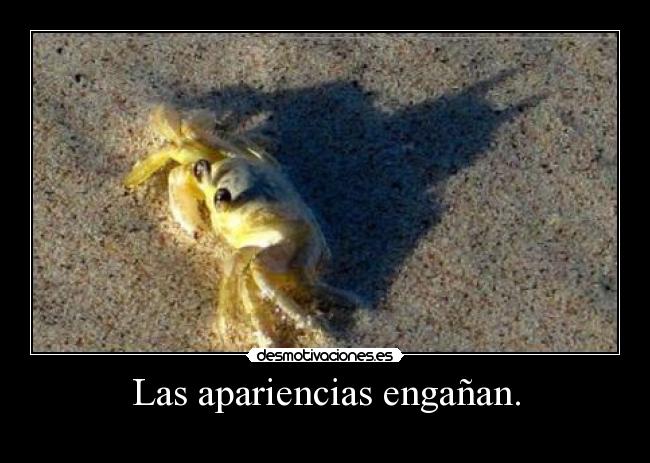 Las apariencias engañan. - 