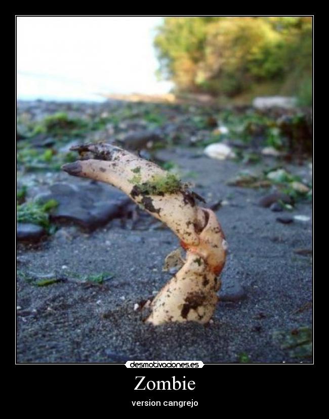 Zombie - version cangrejo