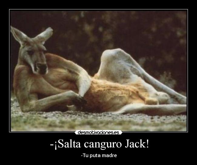-¡Salta canguro Jack! - -Tu puta madre