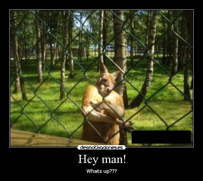 Hey man! - Whats up???