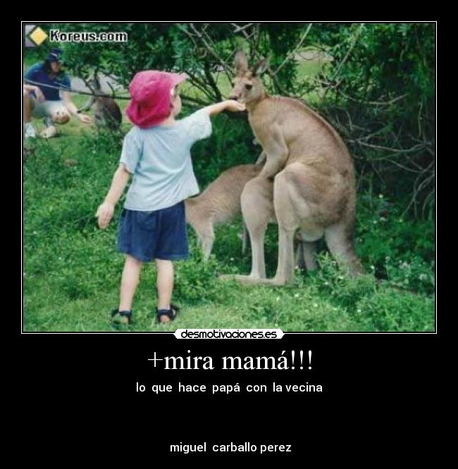 carteles miguel carballo perez desmotivaciones