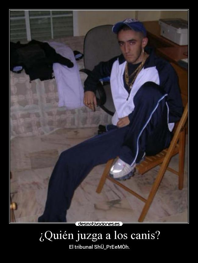 ¿Quién juzga a los canis? - El tribunal ShÜ_PrEeMÒh.
