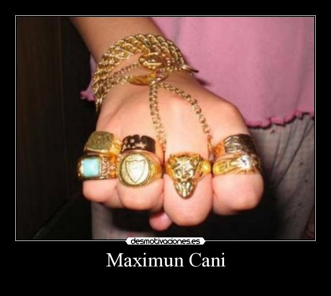 Maximun Cani -