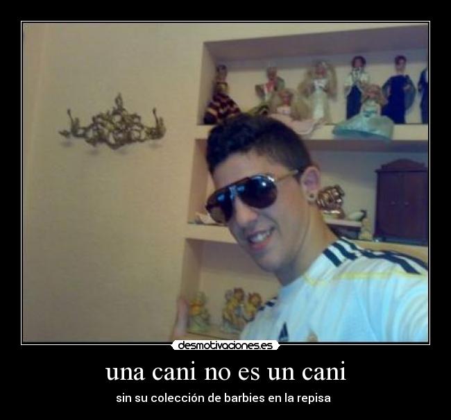 una cani no es un cani - sin su colección de barbies en la repisa