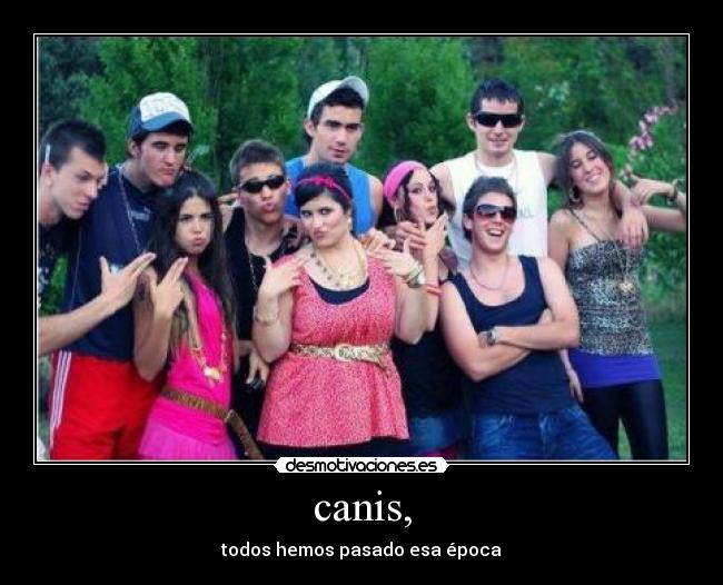 canis, -