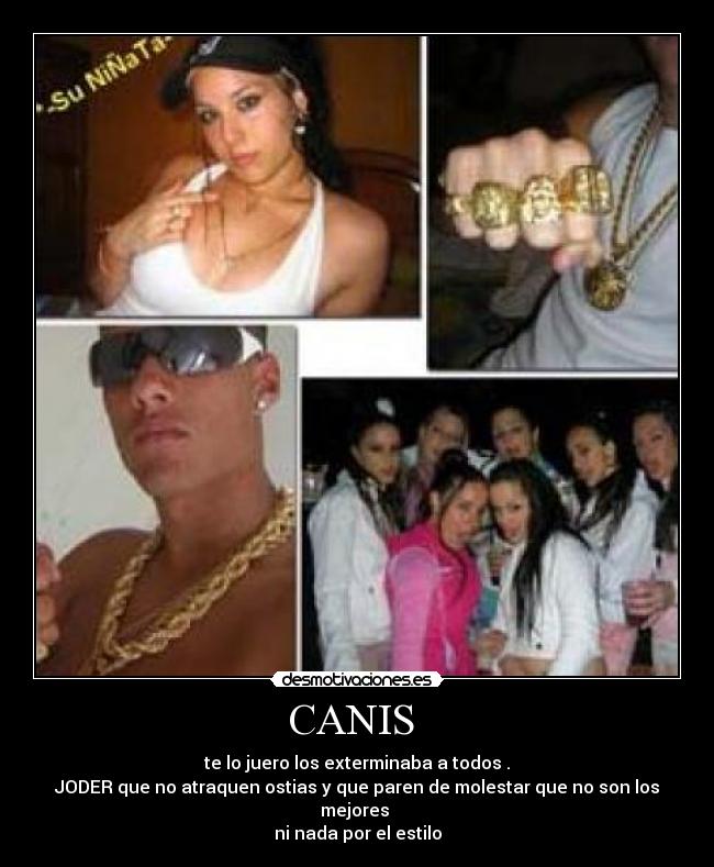 CANIS -