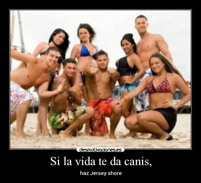 Si la vida te da canis, -