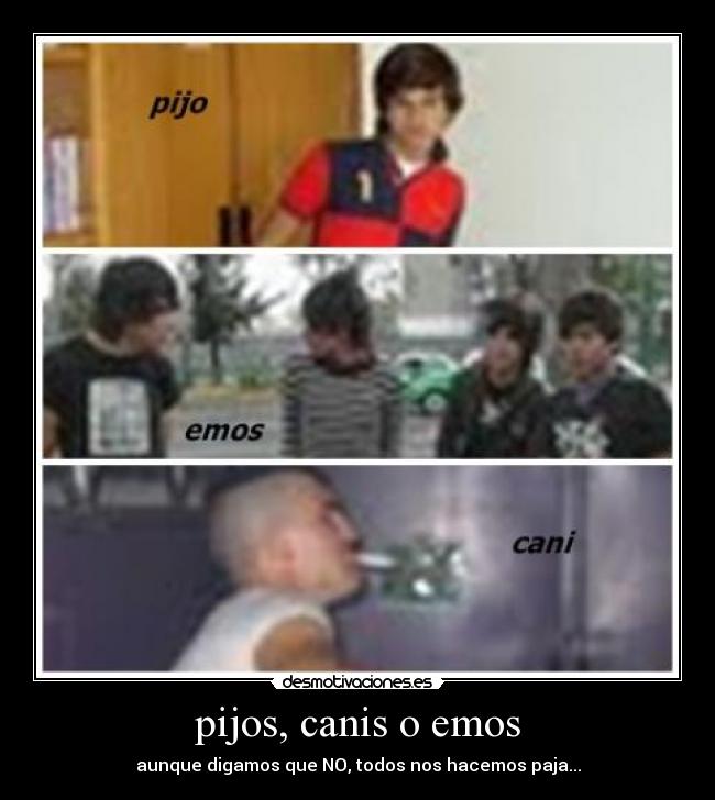 pijos, canis o emos -