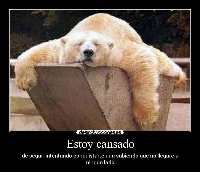 Estoy cansado - de seguir intentando conquistarte aun sabiendo que no llegare a ningún lado