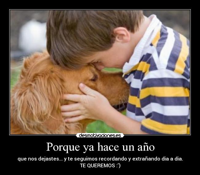 Porque ya hace un año - 