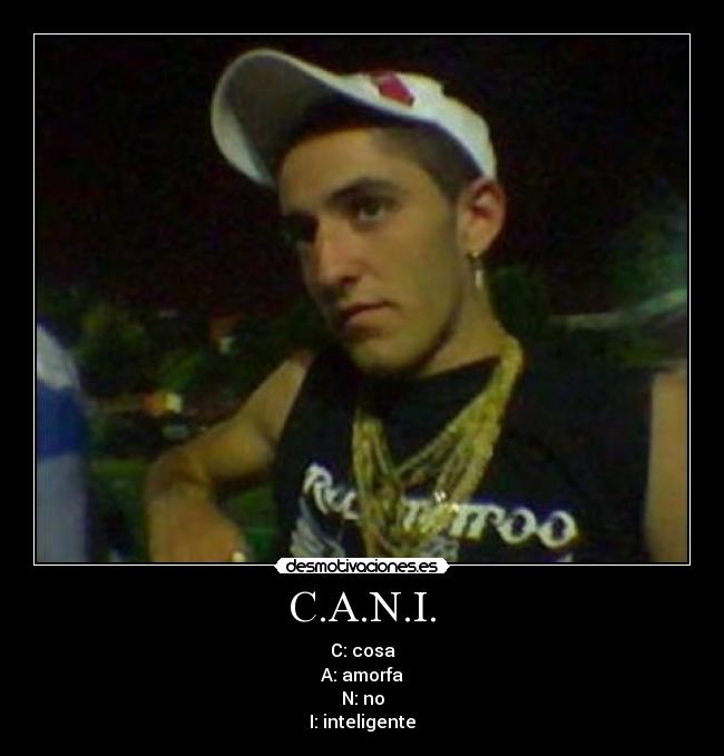 C.A.N.I. - C: cosa
A: amorfa
N: no
I: inteligente