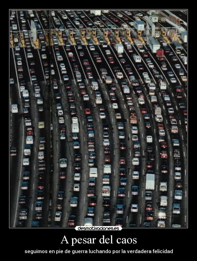 A pesar del caos - seguimos en pie de guerra luchando por la verdadera felicidad