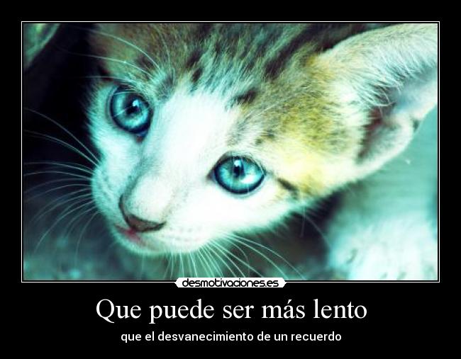 Que puede ser más lento - 