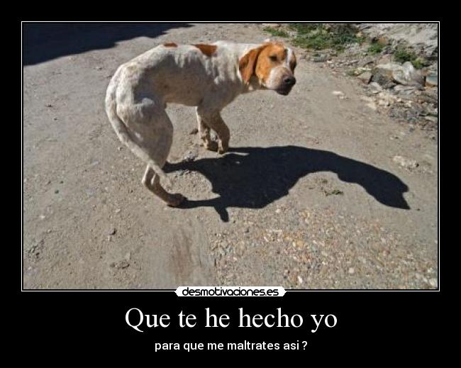 Que te he hecho yo -