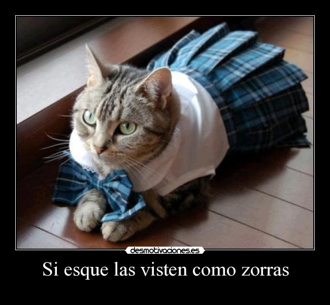Si esque las visten como zorras -