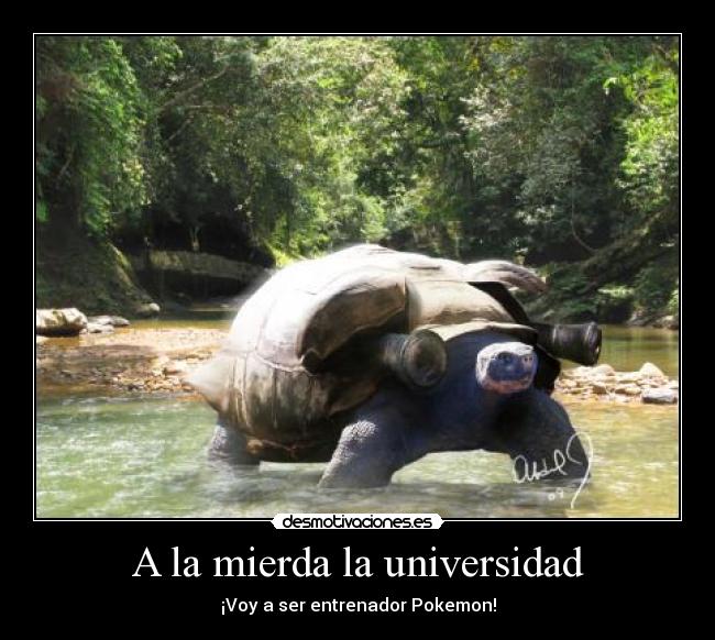 carteles blastoise pokemon universidad hastalapolla desmotivaciones