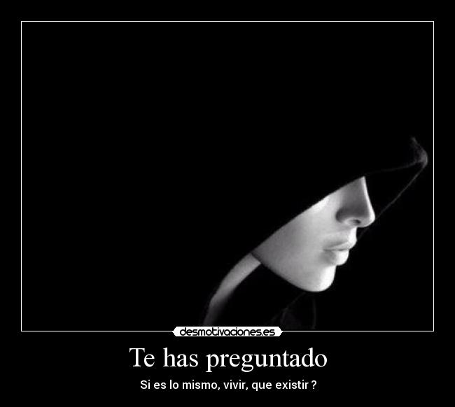 carteles existir vivir desmotivaciones