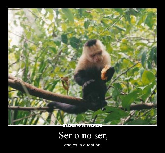 Ser o no ser, -