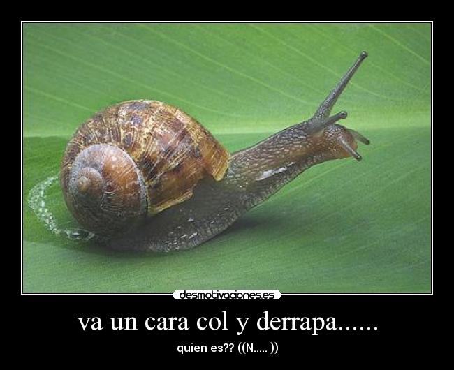 carteles 111111111 desmotivaciones