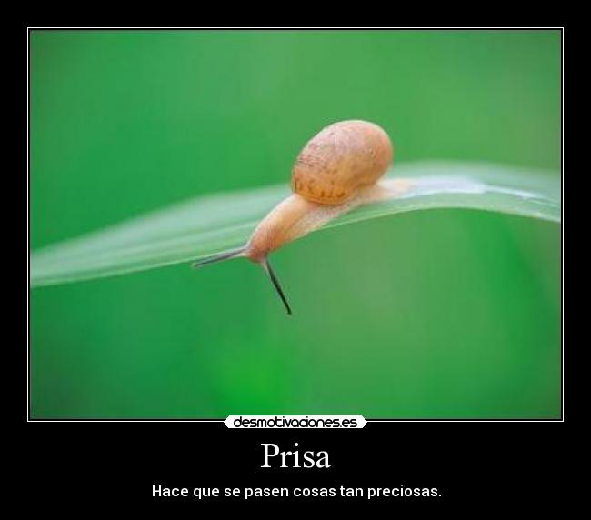 carteles prisa desmotivaciones