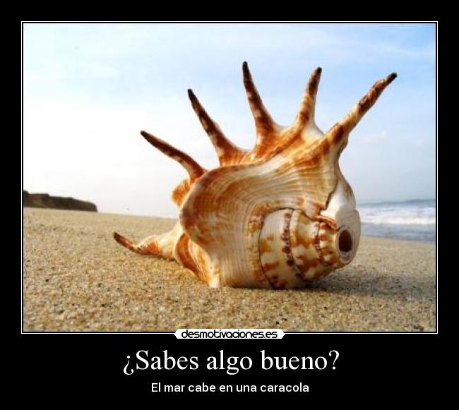 carteles caracola desmotivaciones