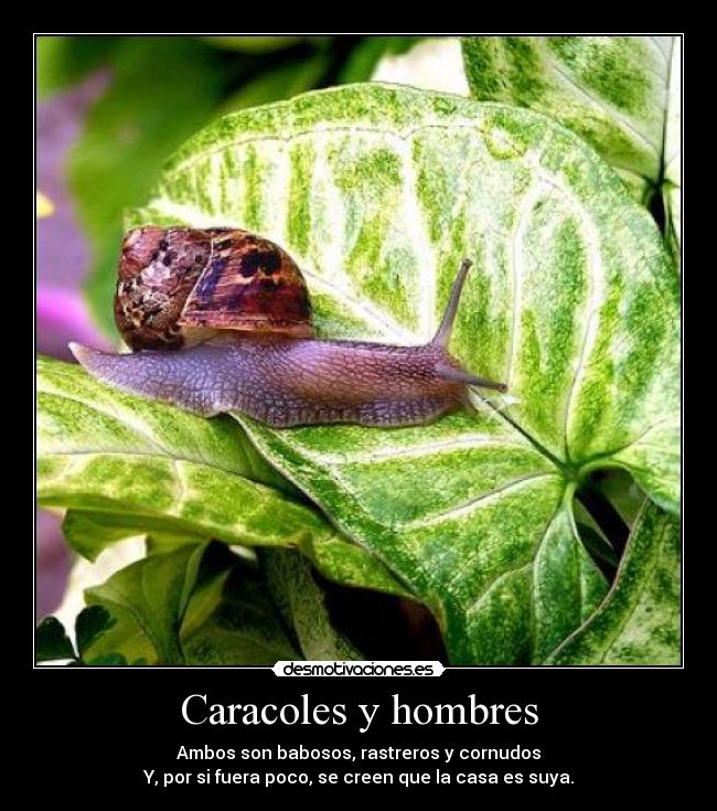 Caracoles y hombres - 