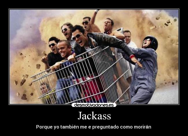 Jackass -
