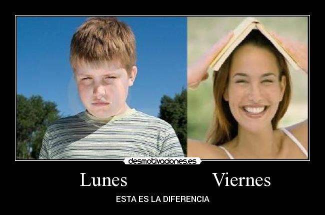      Lunes                 Viernes - 