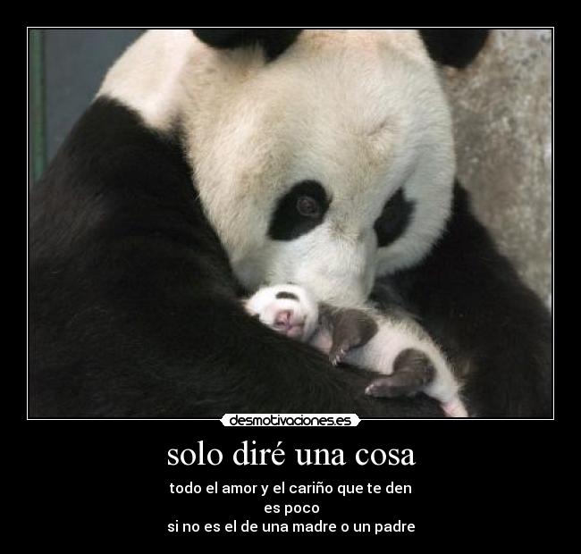 solo diré una cosa - todo el amor y el cariño que te den
es poco
si no es el de una madre o un padre