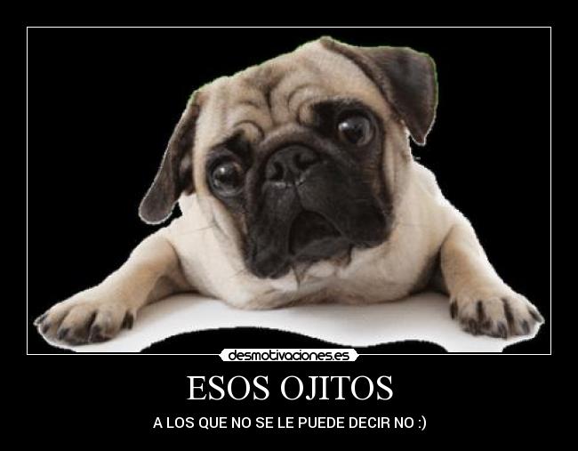 ESOS OJITOS - A LOS QUE NO SE LE PUEDE DECIR NO :)
