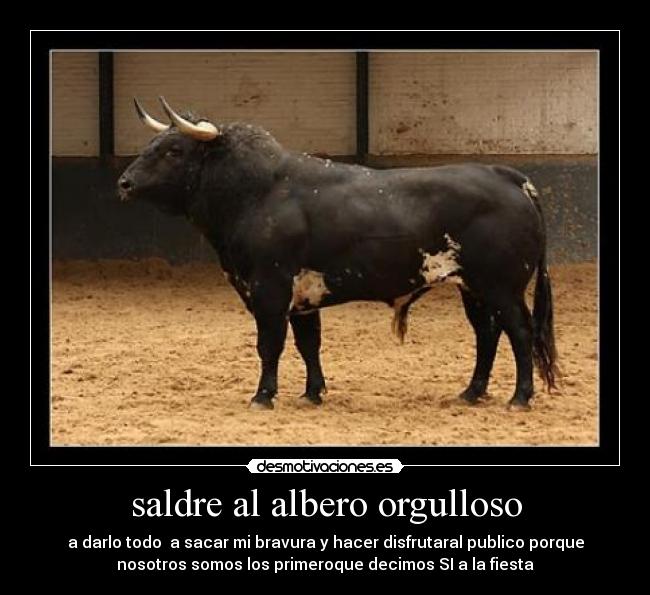 saldre al albero orgulloso - a darlo todo a sacar mi bravura y hacer disfrutaral publico porque
nosotros somos los primeroque decimos SI a la fiesta