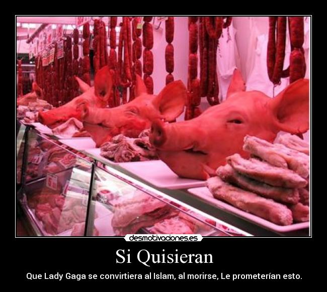 carteles danieercisen23 desmotivaciones