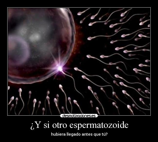 ¿Y si otro espermatozoide -