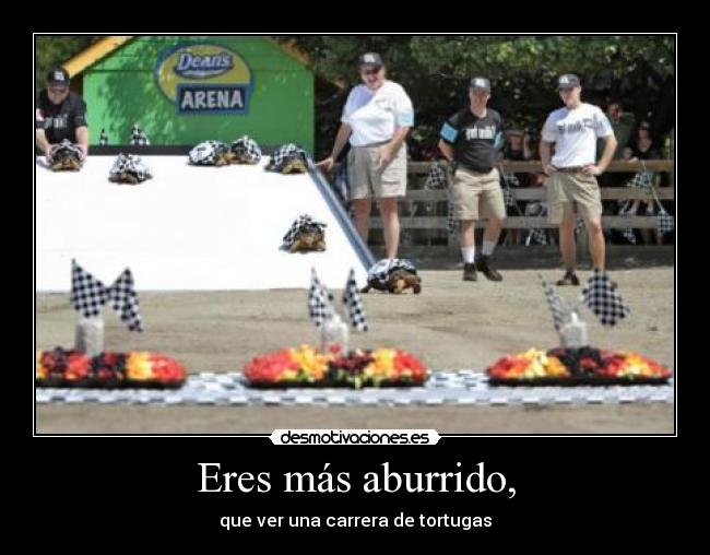 Eres más aburrido, - 