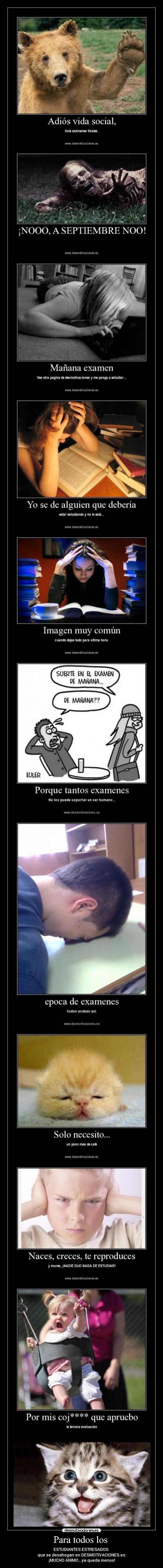 Para todos los  - ESTUDIANTES ESTRESADOS 
que se desahogan en DESMOTIVACIONES.es:
¡MUCHO ÁNIMO , ya queda menos!