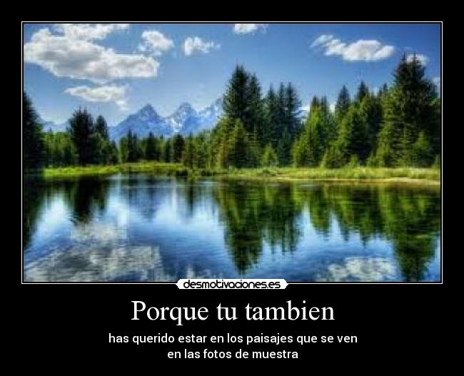 Porque tu tambien -