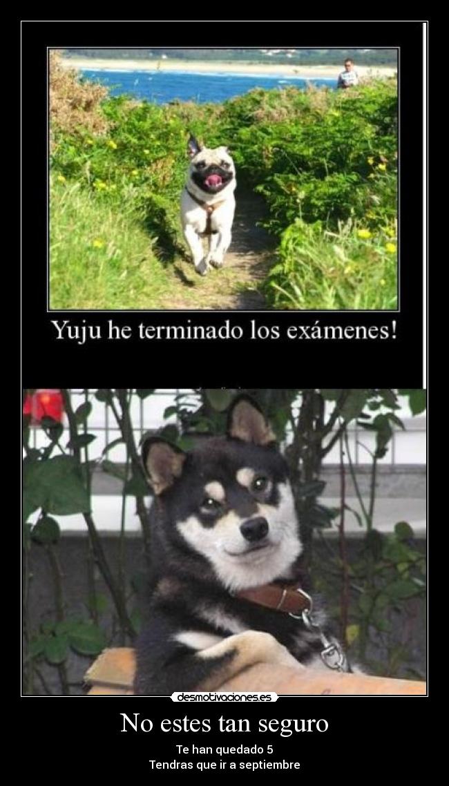 No estes tan seguro - Te han quedado 5
Tendras que ir a septiembre