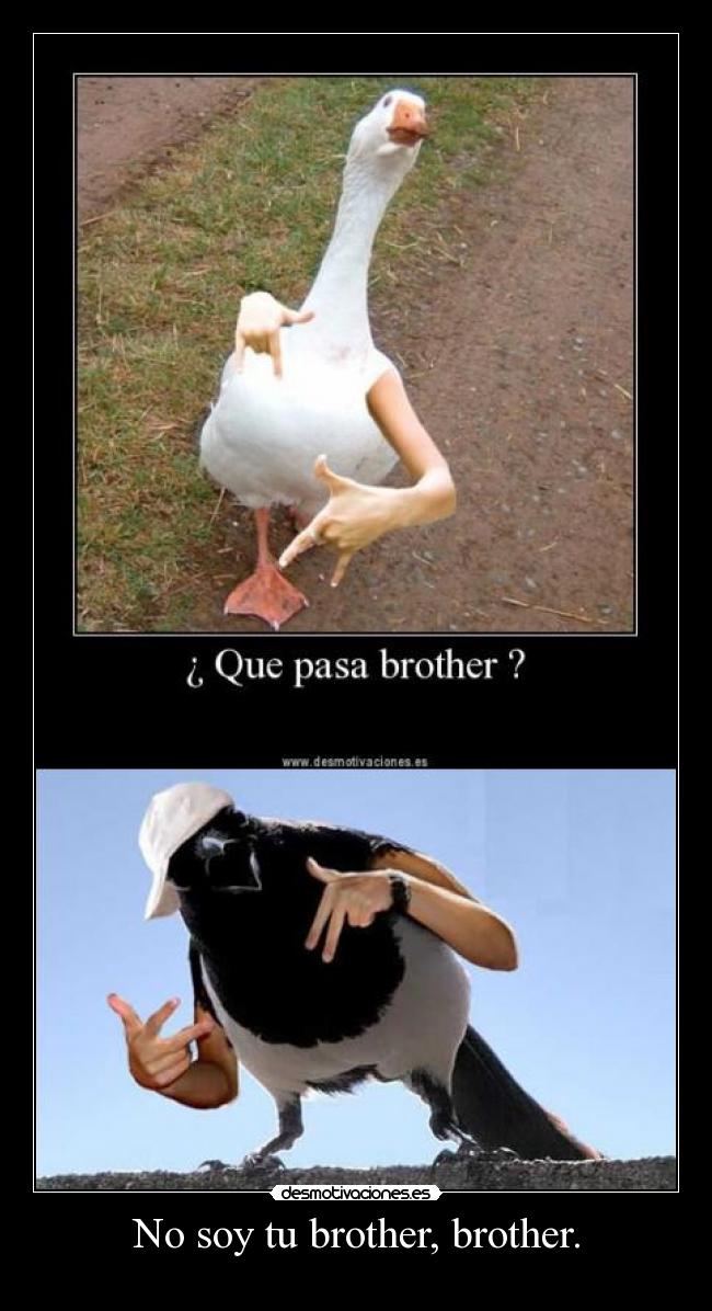 No soy tu brother, brother. -