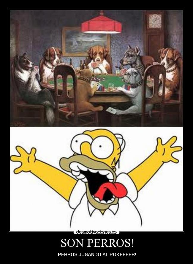 SON PERROS! - 