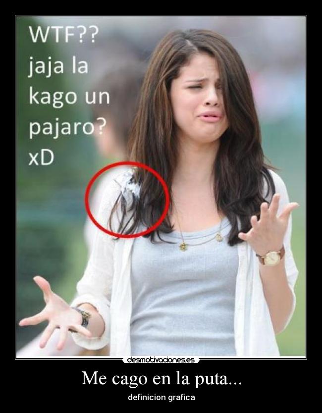 carteles wwwdesmotivacioneses desmotivaciones