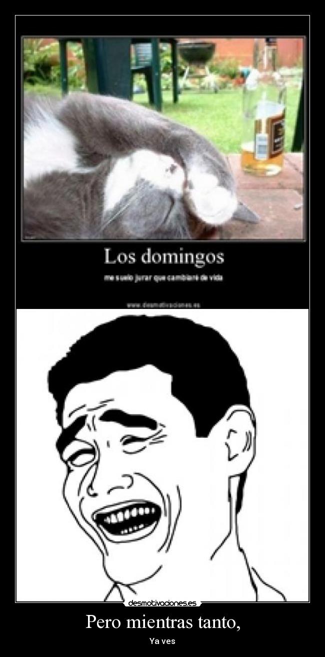 Pero mientras tanto, -