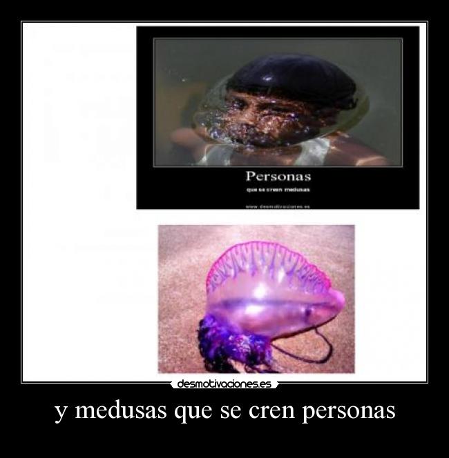 y medusas que se cren personas -